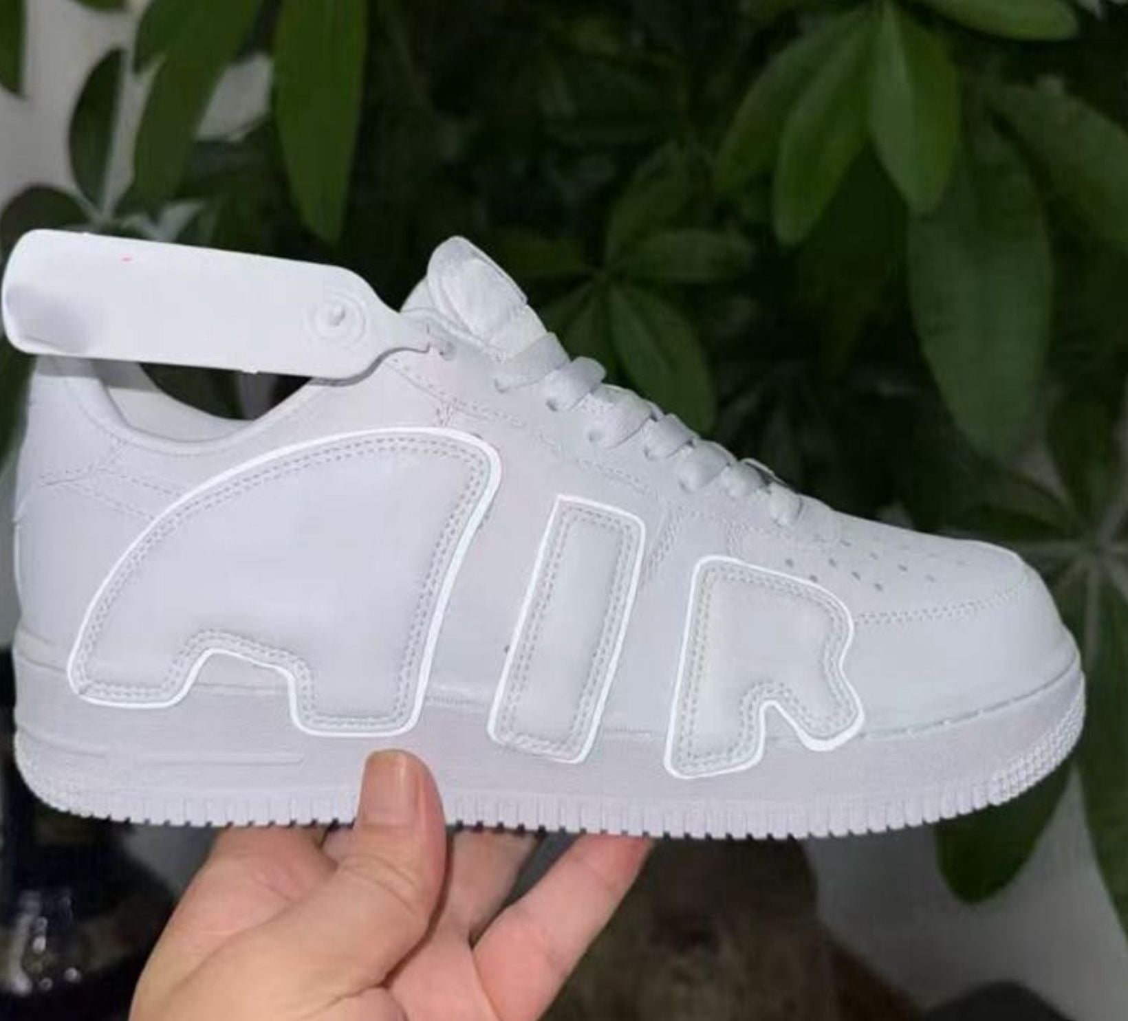 Nike Airforce x Cactus