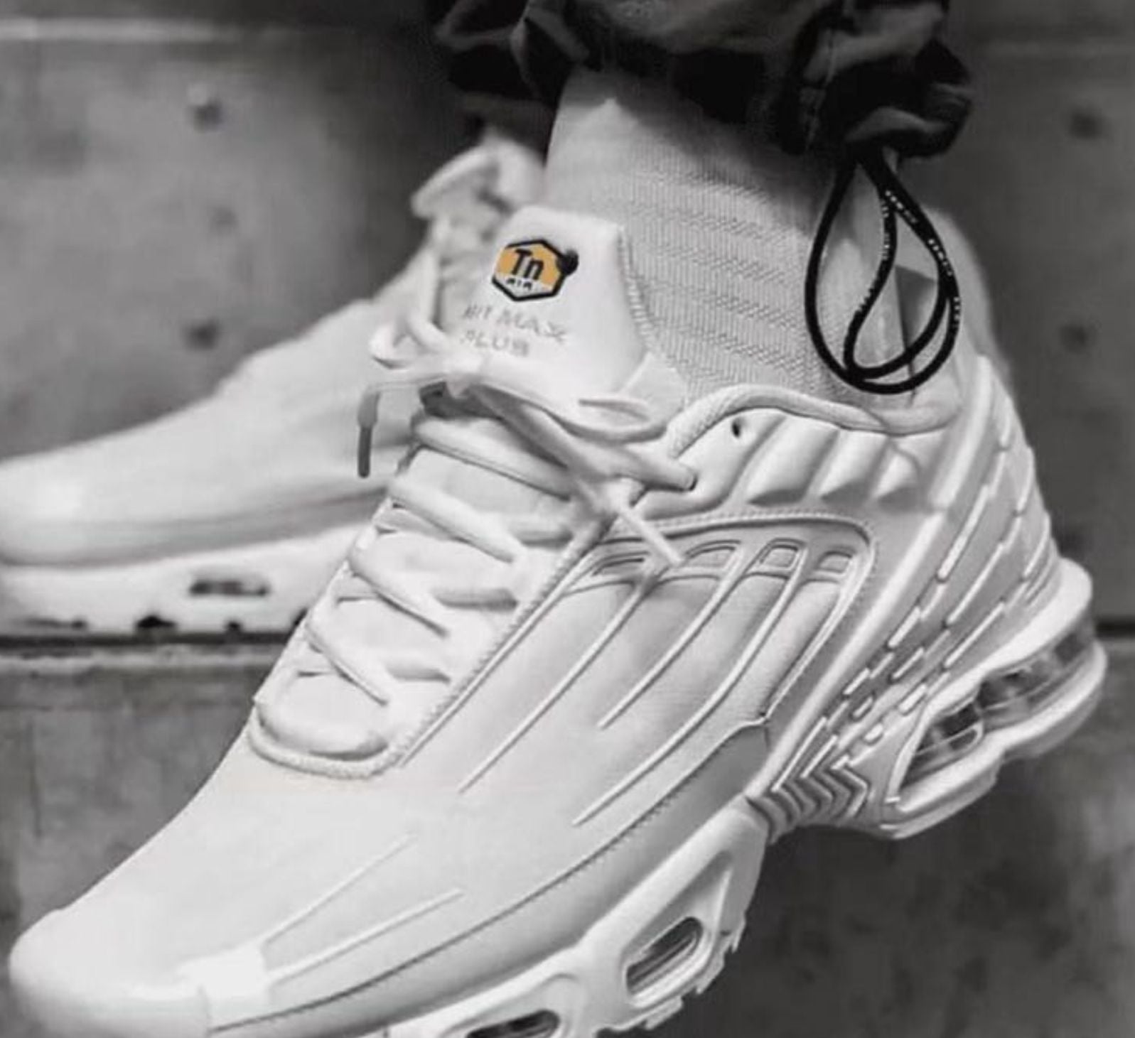 Nike Air Max Plus TN 3